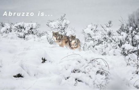 Characteristic restored farmhouse with 360 degree views - Photo 58