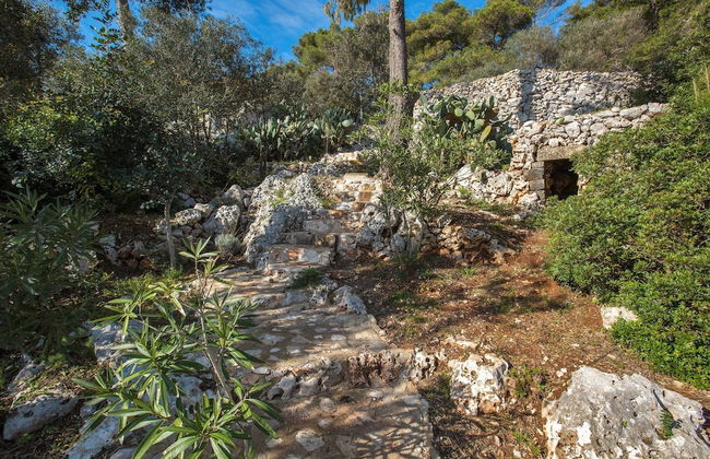 Pajara Acquaviva - Foto 17