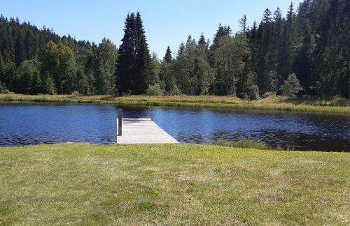 AnNo - Wohlfühlplatzal in da Mauth - Foto 25