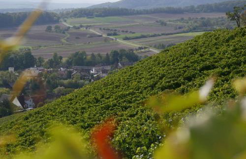 Ferienwohnungen Knodel - Foto 16