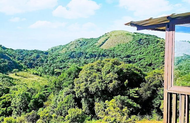 Coorg Tree House - Foto 14