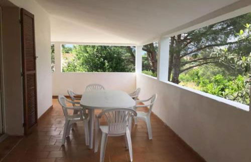 Mare è Monte , jardin méditerranéen et exotique. - Foto 9