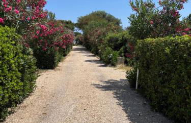 villa Letizia - Foto 40