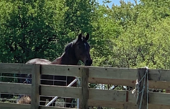 Hazelcreek Cottages - Photo 20