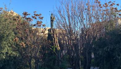 Plebiscito Apartment - Foto 3, Garden, Garden view