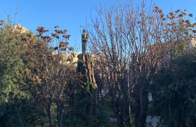 Plebiscito Apartment - Foto 3