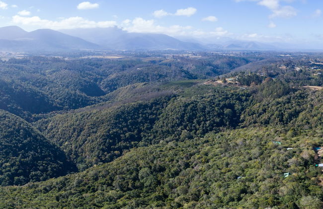 Moon Shine on Whiskey Creek - Foto 49