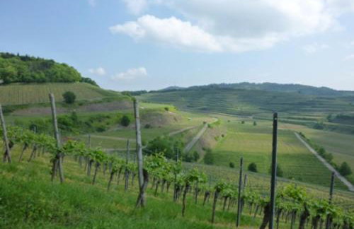 Bianca's Kaiserstuhl - Photo 6