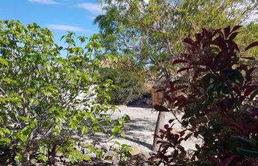 La villa marquesa - Foto 15