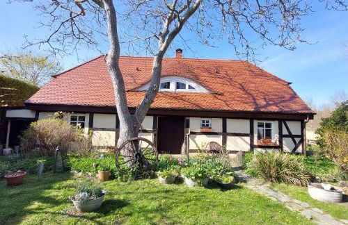 Holiday Homes Garz - Rügen - Insel Rügen 3052 - Foto 17