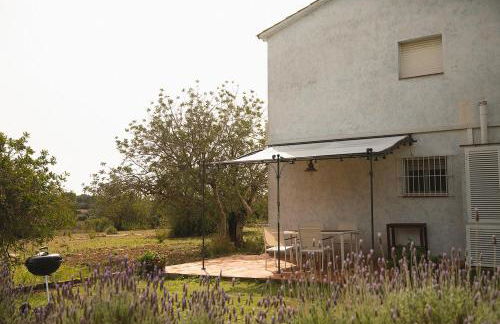 MASIA BARTOMEU Rural house between vineyards 2km from the beach - Foto 9