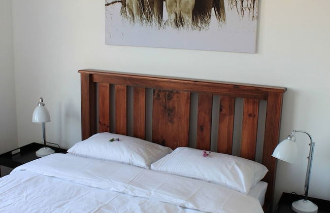 Avenue Massif 1C - Photo 2