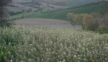 La casa di Alice - Casa Natura - Foto 3