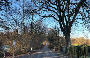 Albos Ferienhaus zwischen Schlei und Ostseeküste - Foto 44