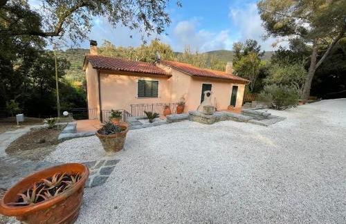 Le Sughere bis - Foto 14