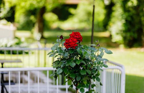 Haus am Mühlenweg - Appartement 2 Haus I - sonniges und modernes Ferienappartement - Foto 9