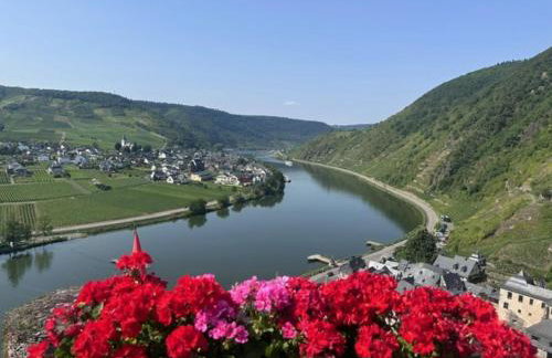 Fewo Himmelblau - Foto 38