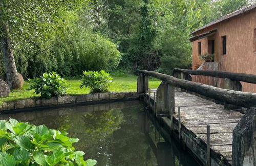 Forest Terrace Praia de Mira - Foto 55