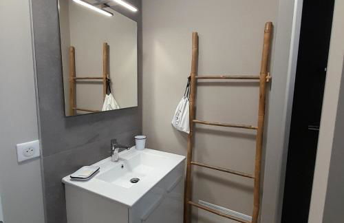 Appartement osca des brimbelles - Foto 11