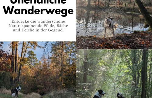 Ruhige Wohnung mit Ausblick - Foto 21