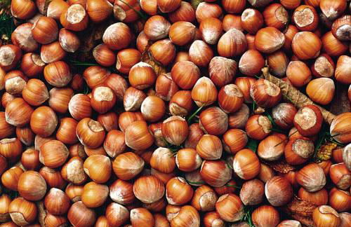 Agriturismo Marcarini - Foto 34