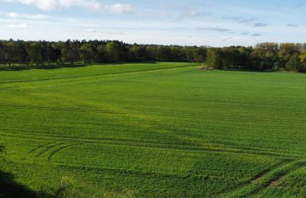 Ferienhaus Haffsonne - Foto 20