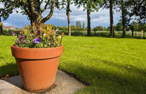 New traditional village house - Foto 16