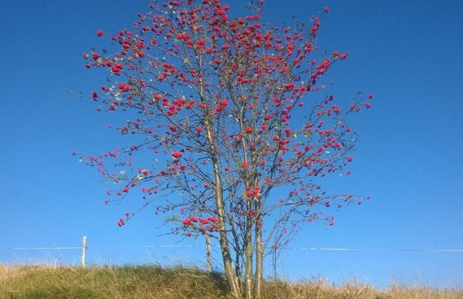 Gutsweg One - Apartment 3 - Foto 13