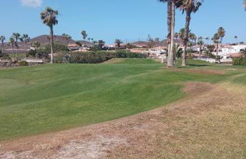 Las Meninas Tenerife - Foto 45