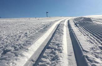 Living in Nature - Foto 30