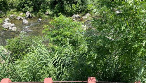 Agriturismo del Gao - Foto 3