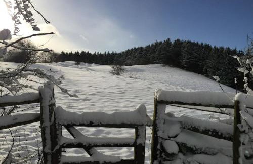 The Granary at Pentregaer Ucha, tennis court & lake. - Foto 30