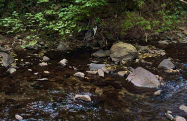 Quinta São José - Museu do Triciclo - Photo 74