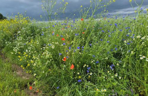 Zollhaus nad Zalewem Mietkowskim - Photo 32