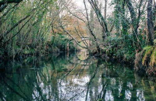 Viana do Castelo - Amonde Village Casa P - Conforto Qualidade Natureza - Foto 45