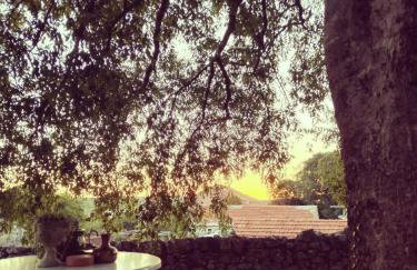 Holiday home Mimara - Foto 4