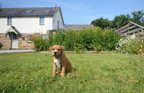 3 Bed in St. Columb oc-82405 - Foto 35