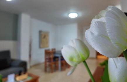 Apartalux Magic Paradise - Photo 17