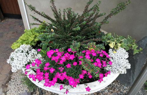 GÎTE DE LA FONTAINE - Foto 49