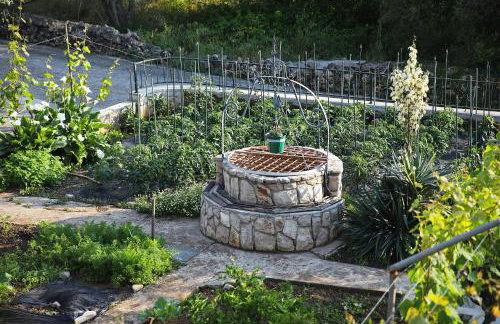 Senkini Dvori - Photo 27