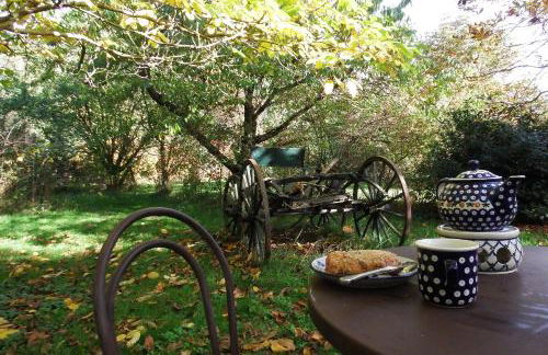 Ferienhof Rauchhaus - Foto 29