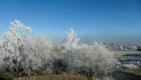 Bullau-bü - Appartment im Grünen - Photo 2