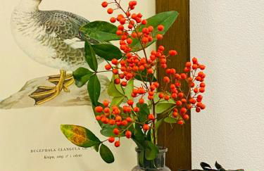 Green House in campagna - Foto 24