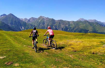 Magnifique maison 10 personnes à Loudenvielle - Foto 42