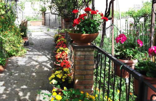 Le Mimose - Photo 54