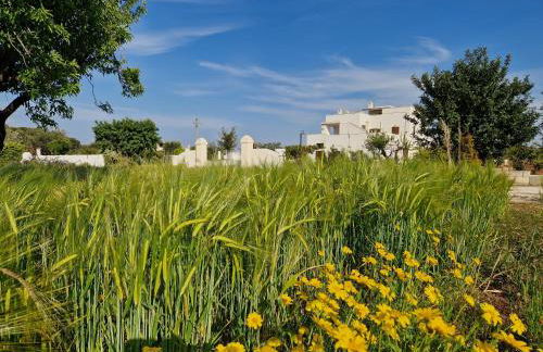 Residenza "I Tre Carrubi " - Foto 45