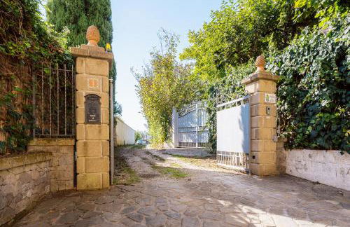 Albero di Giada - Foto 41