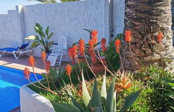 Villa Paraíso Azul - Foto 32