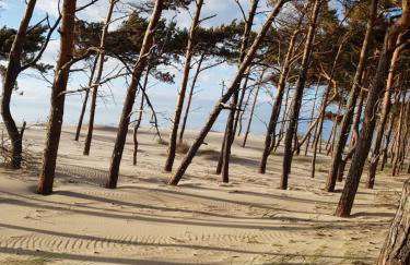 RAJSKA PLAZA Poddąbie Basen odkryty brodziki Basen kryty Plac zabaw Animacje - Foto 33