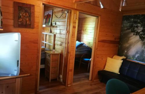 domki domek na jeziorem Wilczyńskim Budzisławskim , las, osobno ogrodzony 2-6 osób- klimatyzacja, ogrzewanie, 62-550 Zygmuntowo gm Wilczyn - Foto 29